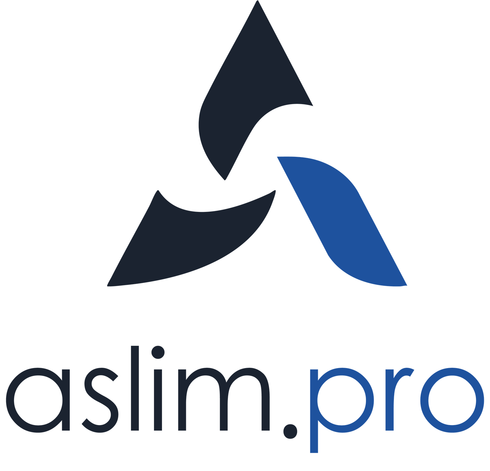 Aslim Payroll